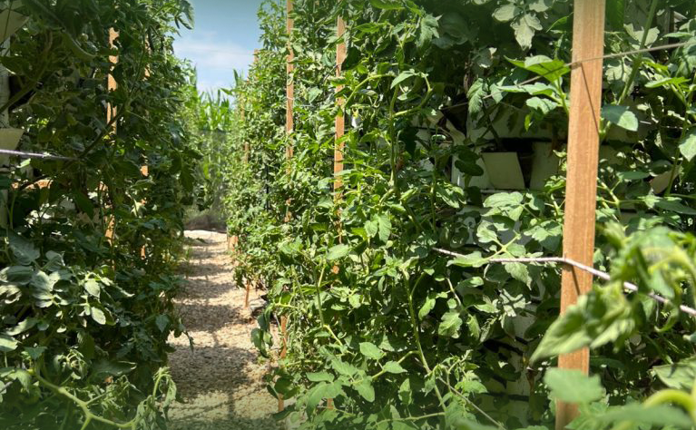 Training Programs, Business Development & Global Market Access