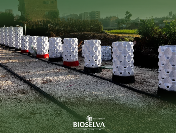 Soil-Based Vertical Farming Solutions