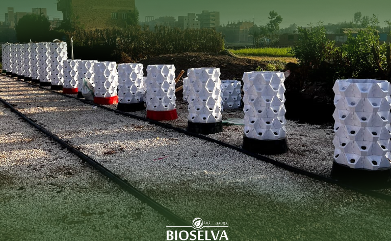 Soil-Based Vertical Farming Solutions