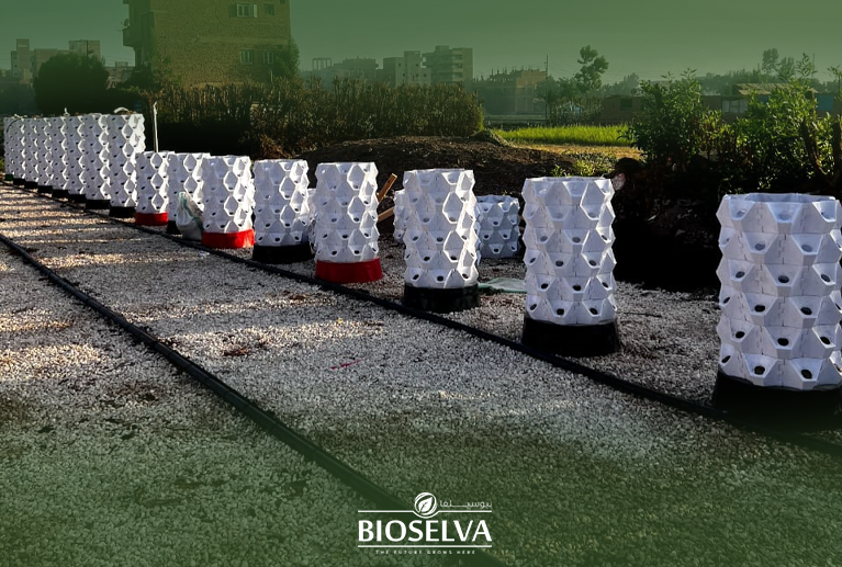 Soil-Based Vertical Farming Solutions