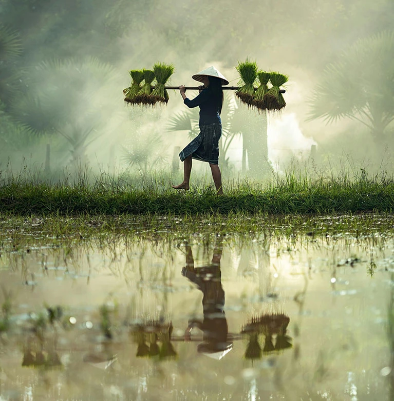 Accelerate innovation with world-class tech teams We’ll match you