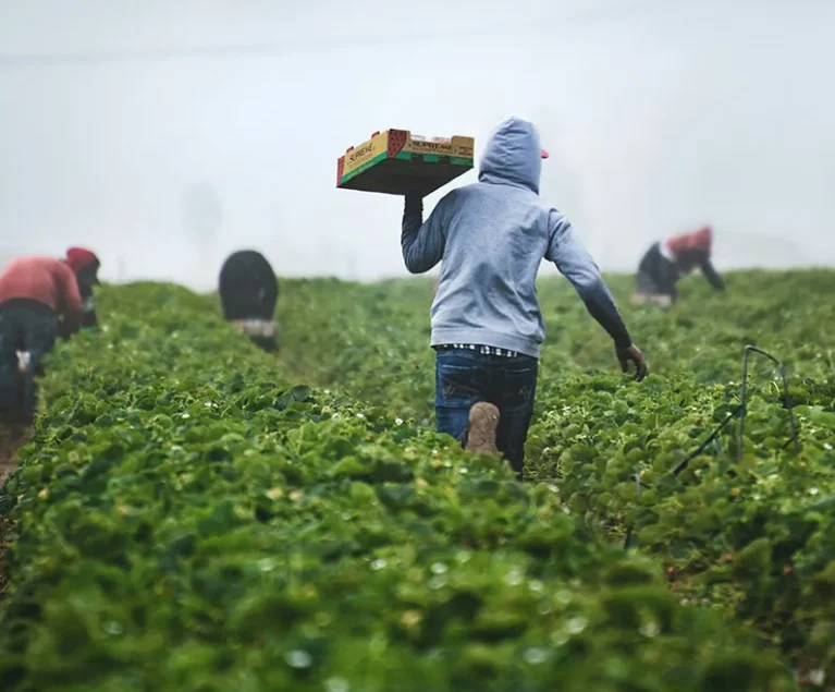 There are many variations of passages of Lorem Ipsum available, but majority have suffered teration in some form, by injected humour, or randomised words which don't look even slight believable. If you are going to use a passage of Lorem Ipsum.