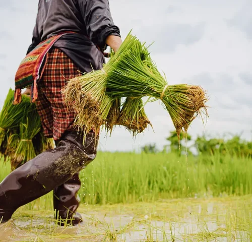 There are many variations of passages of Lorem Ipsum available, but majority have suffered teration in some form, by injected humour, or randomised words which don't look even slight believable. If you are going to use a passage of Lorem Ipsum.